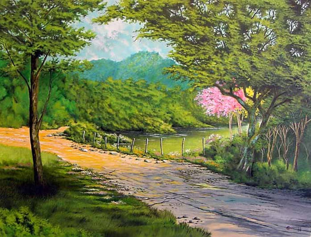 Caminho da serra da Bocaina