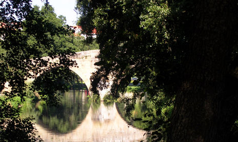 reflejos