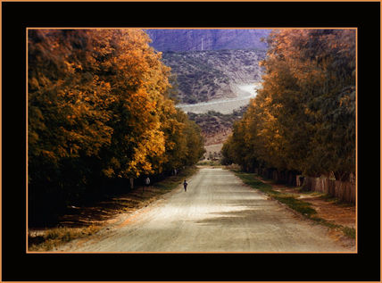Caminos del norte III