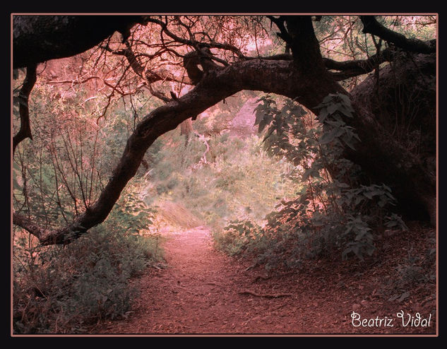 Caminos internos IV 