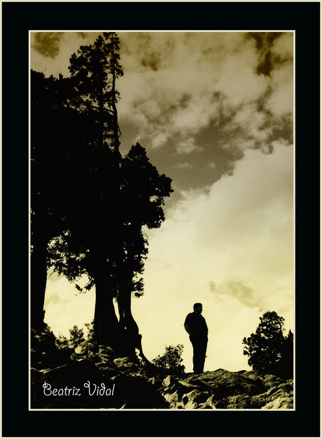 El cielo, el árbol, el hombre. Imprescindibles