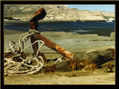 Memorias del mar