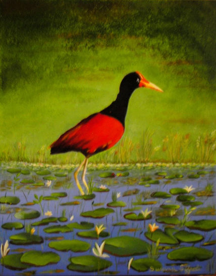 Garza Colorada
