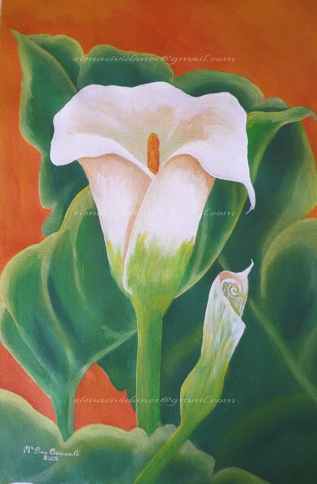 CALAS SOBRE NARANJA