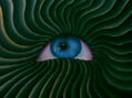 ojo singular