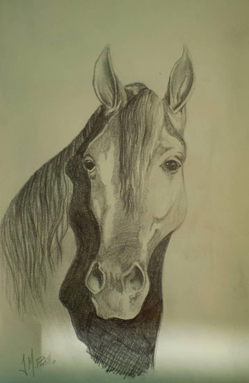 Cabeza de caballo 1. Preparacion para metamorfosis. Pencil