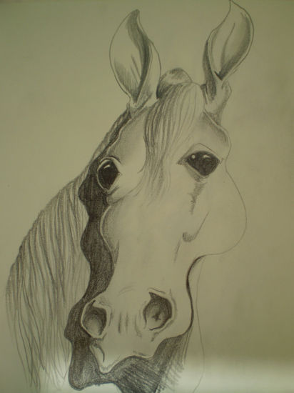 Cabeza de caballo 2. Metamorfosis. Pencil