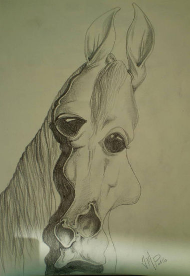 Cabeza de caballo 3. Metamorfosis definitiva. Pencil (Black) Paper Animals