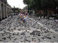 "... CORRÍAN DE UN LADO A OTRO ... Y YA EN LA MADRUGADA EL ESPECTÁCULO ERA DANTESCO... Y LA PLAZA QU