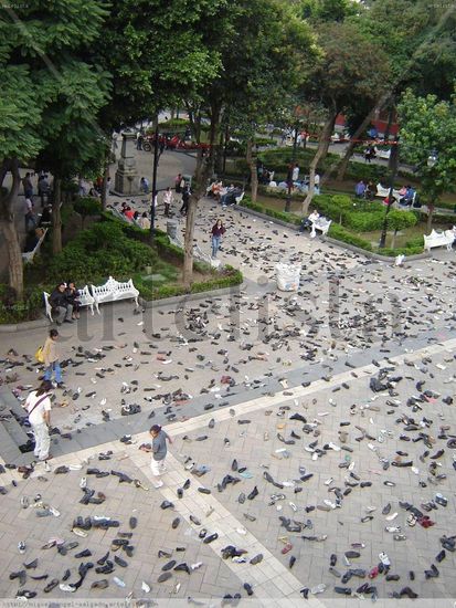 "... CORRÍAN DE UN LADO A OTRO ... Y YA EN LA MADRUGADA EL ESPECTÁCULO ERA DANTESCO... Y LA PLAZA QU 