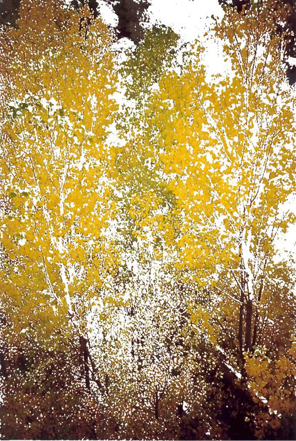 Tardor