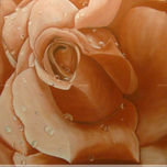 flors thumbnail 2