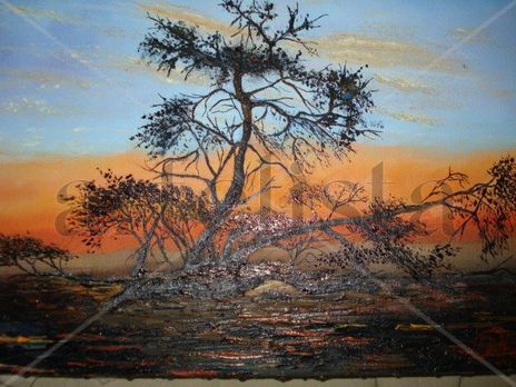 Atardecer con huarango