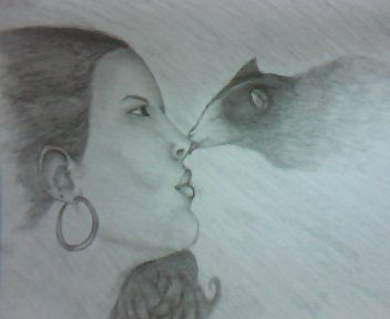 the cat