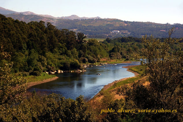 RIO MIÑO 2 