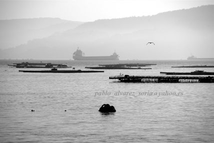 Puerto de lorbe 3