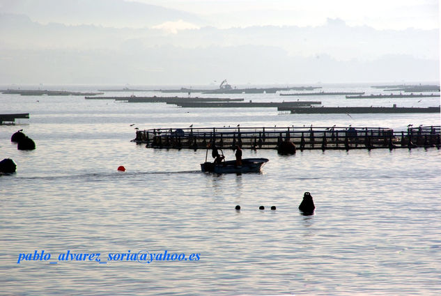 BATEAS DE MEJILLONES en Lorbé 