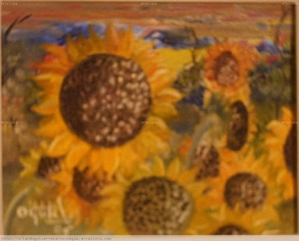 Girasoles a Yola