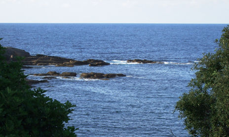 Agua