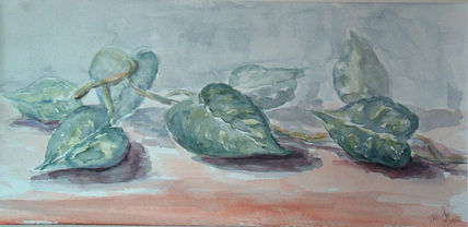 Hojas de pothos