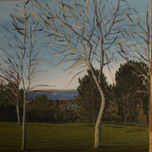 Vigo thumbnail 1