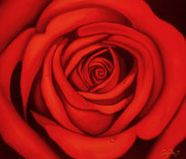 Rosas Rojas