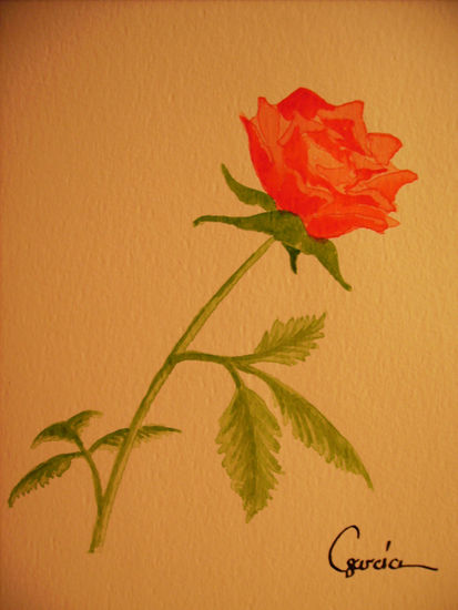 Rosa. Watercolour Paper Floral Painting