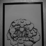Bestiario thumbnail 1