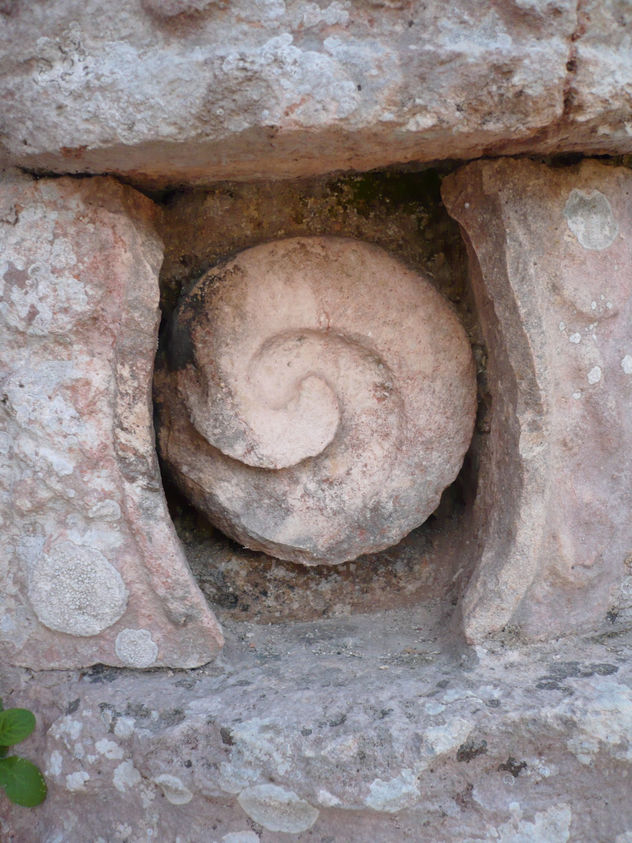 caracol 2