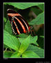 SOBERBIA