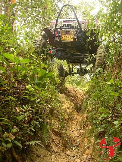 Toyosaurio persiguiendo el rastro 