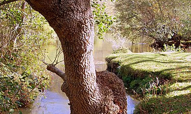 Rió Ebro.