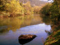 Ribera del Ebro en otoño.