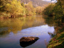 Ribera del Ebro en...