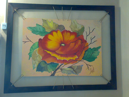 Amapola