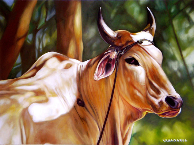 buey Oil Canvas Animals