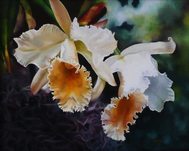 Orquideas de Amor Örchids of Love Oil Canvas Floral Painting