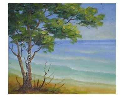 Cantinho em Atalaia Oil Canvas Landscaping