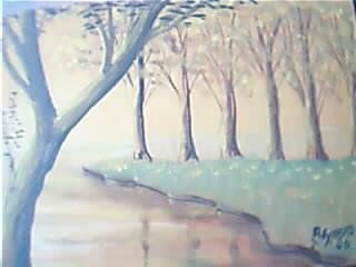 reflejos