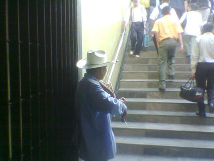 Violinista