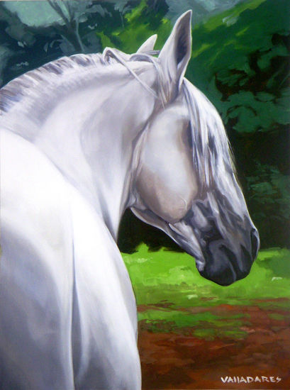 caballo blanco Oil Canvas Animals