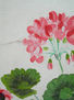 detalle genario rosa