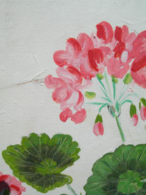 Detalle genario rosa