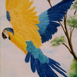 AVES DO PANTANAL thumbnail 2