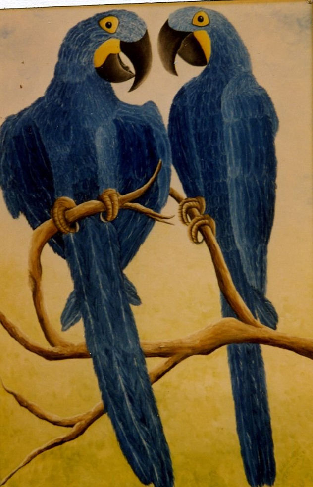ARARA AZUL