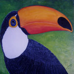 AVES DO PANTANAL thumbnail 1