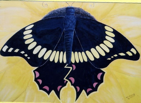 Borboleta x