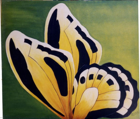 Borboleta iv