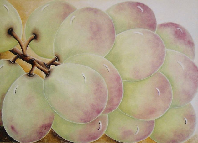 UVAS IV