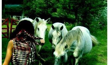Histories de Femmes